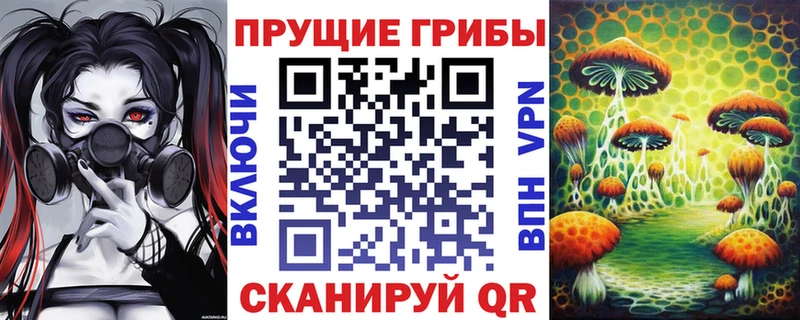 как найти закладки  Армавир  Псилоцибиновые грибы Magic Shrooms 